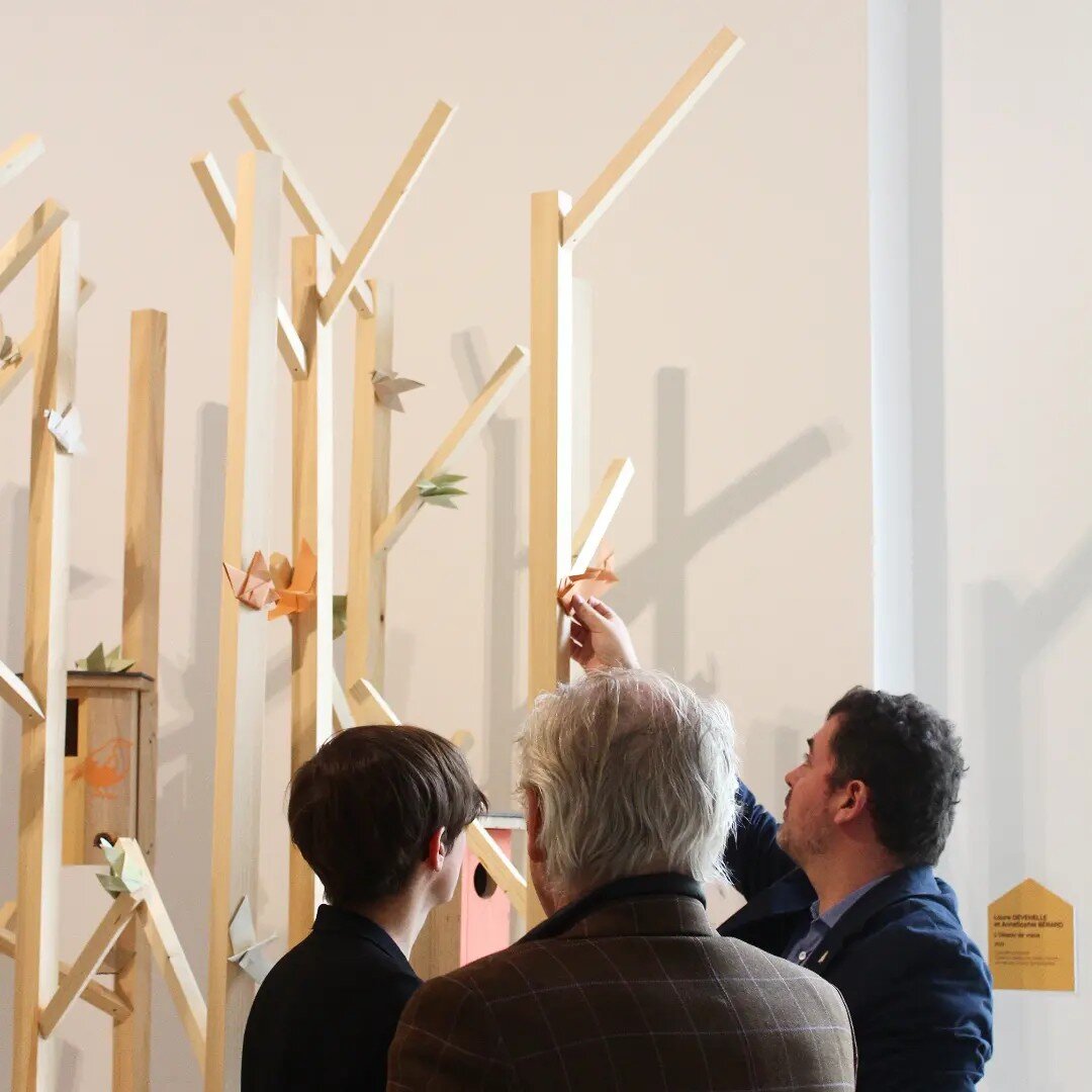 Installation participative Oiseaux de Vœux